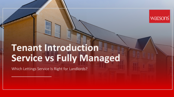 tenant introduction service article image