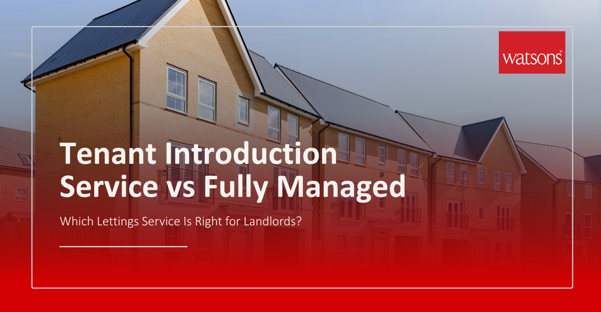 tenant introduction service article image