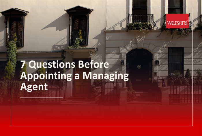 7 questions before appointing a managing agent article cover image of a row of properties